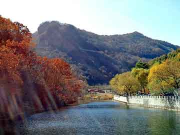 天天彩好彩天天免费，山东大学体育学院